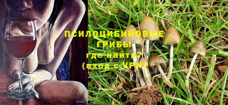 Галлюциногенные грибы Magic Shrooms Чишмы